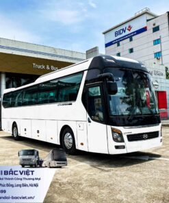 Univeres xe khách Hyundai